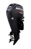 Mercury F 80 ELPT EFI